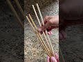 4 Beginner Tips For Using Chopsticks