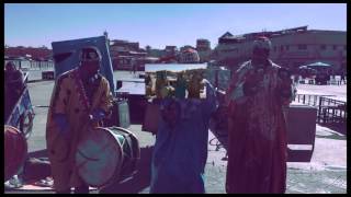 Airaboi - Endless Field (Official Video)