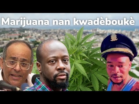 The Marijuana Business Plant in Croix Des Bouquets Wycleff Jean has already seen this!