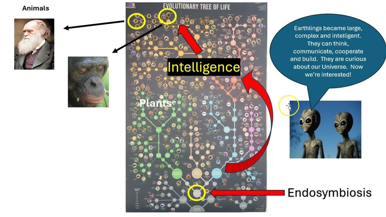 Life gets big, complex, and intelligent: Endosymbiosis part 3