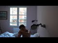 Pasha 21