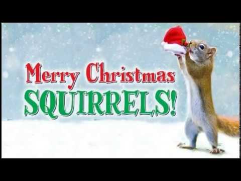Earl The Christmas Squirrel video thumbnail