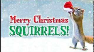 The Moffatts - Earl The Christmas Squirrel - LYRIC VIDEO