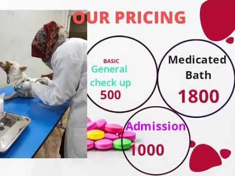 noshe pets and vet cilinic rawalpindi