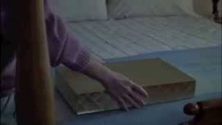 Haunting Passion Timothy Blake