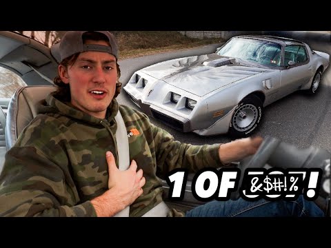 Why this RARE 1979 Trans Am is so special | 1979 Trans Am 10th Anniversary Edition | DriveHub
