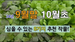 9월말 10월 초에 심을 수 있는 8가지 추천 작물! #9월말에 심는 작물 #10월초에 심는 작물 #10월 …