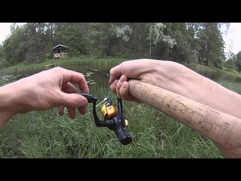 Kalassa Jarkon kanssa isojen ahventen perässä