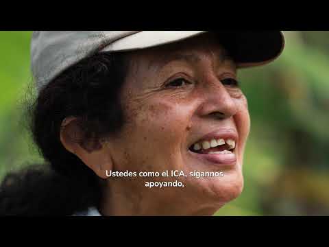 ¿Cómo renace una vida en el campo? Historia de resiliencia en Venecia, Cundinamarca 🌱