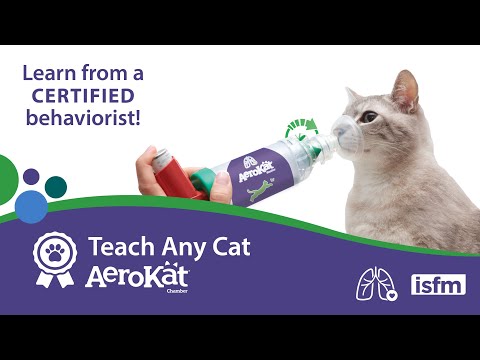 Teach Any Cat AeroKat* - Asthma Inhaler Training with a Certified Behaviorist