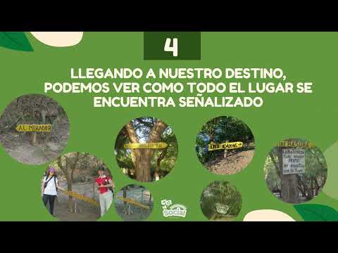 TIPIRO- SANTIAGO DEL ESTERO