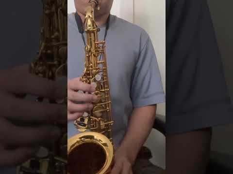 226xxx Selmer Mark VI Alto Saxophone - original, near mint! image 12