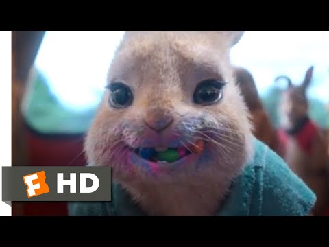 ピーターラビット2：家出」（2021年）-ジェリービーンズのシーン（2/10）｜Movieclips (Peter Rabbit 2: The Runaway (2021) - Jelly Beans Scene (2/10) | Movieclips)