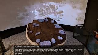 천연기념물 신안 압해도 수각류 공룡알둥지 화석