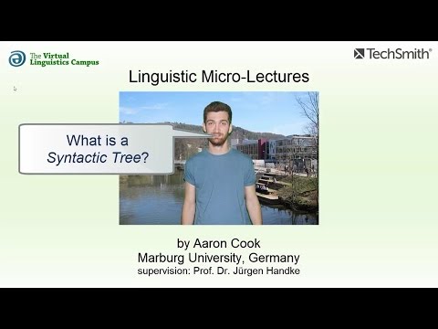 Syntactic Trees ☆ Linguistics Lecture