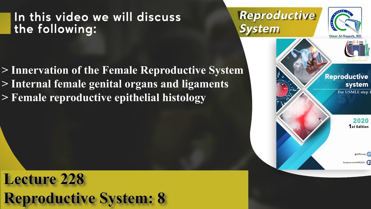 Innervation, ligaments and histology of of the Female Reproductive System