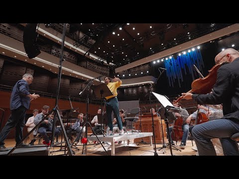 MOZART: BETRACHT DIES HERZ UND FRAGE MICH | BRUNO DE SA