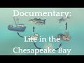 Documentary: Life in the Chesapeake Bay