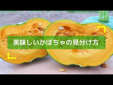 , title : '【EDISONmama】うまみそのままフレーク かぼちゃ ～美味しさのひみつ/美味しいかぼちゃの見分け方 編～'