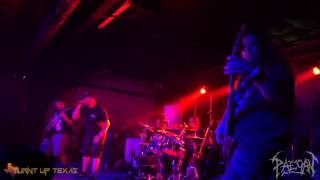 Paegan - Live at The Rock Box (Ne Obliviscaris Tour - August 2016)