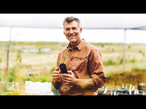 ZEN Energy & The Forktree Project