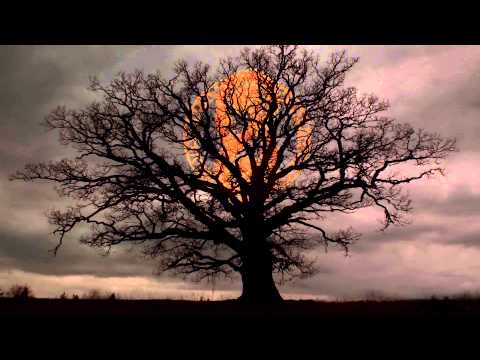 Skyforger - Rāmava / Romuve (Lyric video 2015)