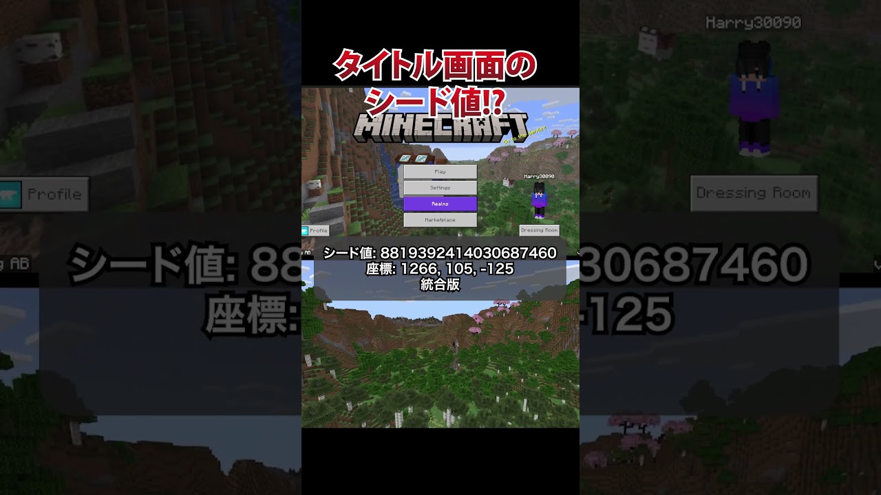マイクラのタイトル画面のシード値!!!  #minecraft #マインクラフト #マイクラ #shorts