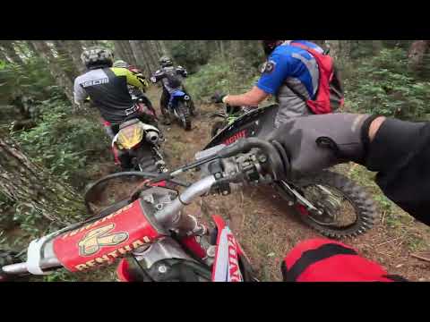 2° Trilhao Amostradinhos da trilha - Quitandinha - PR