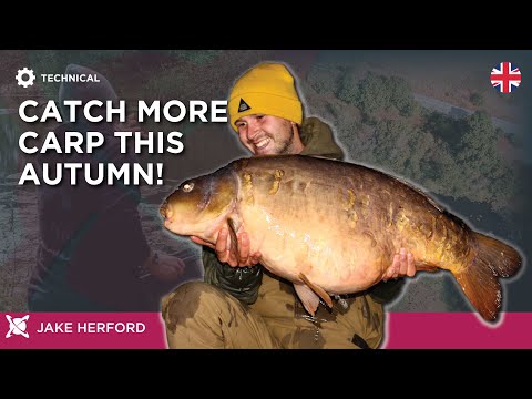 Catch More Carp This Autumn! Jake Herford | CC Moore Carp Fishing Tips