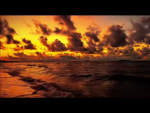 Golden Hour #beautifulbeach #peace #nature 