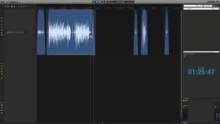 Bearbeiten von Audio in REAPER/Ultraschall 4 mit Silence Detection