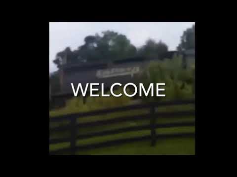 NS 6902 leads a grain train