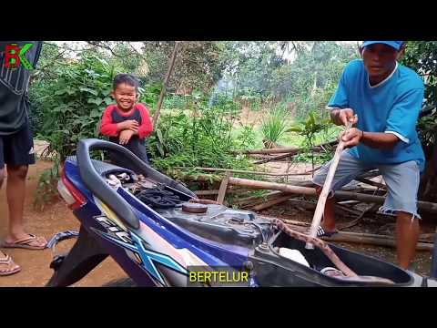 akhirnya-motor-ketemu-kembali