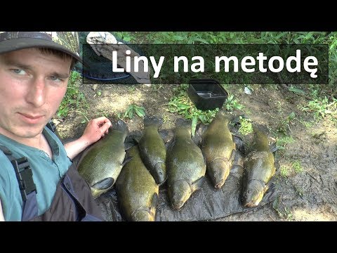 Mięśnie pleców map Pompują mięśnie rąk