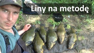 Liny na Metodę - Śmierdziuchy vs klasyka