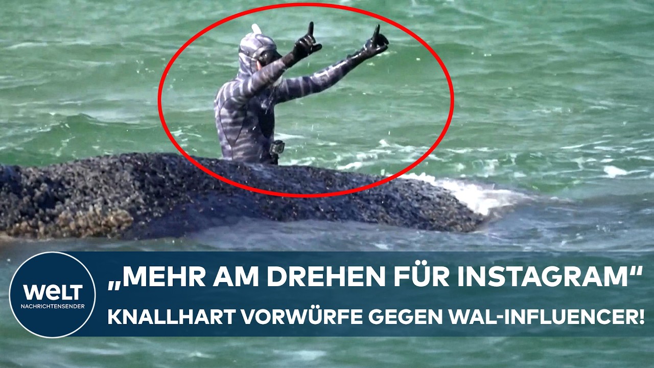 BUCKELWAL TIMMY: „Nicht der Experte“ Schwere Vorwürfe gegen Influencer Robert Marc Lehmann!