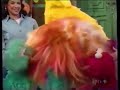 Sesame Street Appreciation Party For Barkley 1999 Part 6