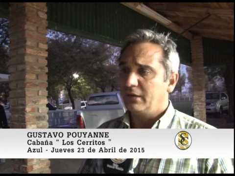 Wallace Hnos. S.A. - Azul - Nota Gustavo Pouyanne - 23/04/2015