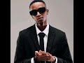 Scotts Maphuma Ngibolekeni Official Audio Ft Various Artists