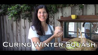 How to Harvest & Cure Winter Squash for Storage