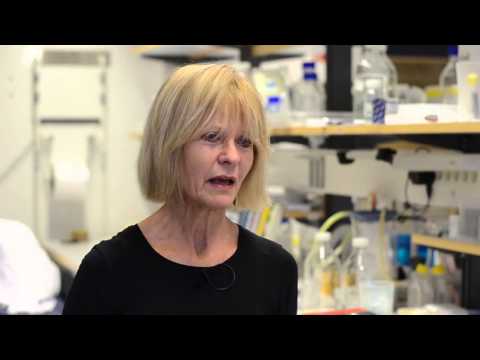 The Crafoord Prize in Polyarthritis 2013