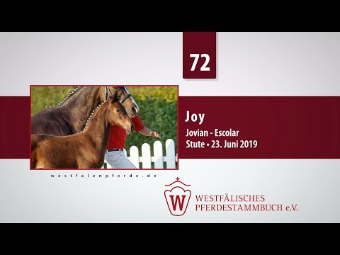 72 Joy Stute v. Jovian - Escolar