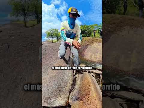 Nos adentramos en la selva de Venezuela para descubrir dónde inició la vida.