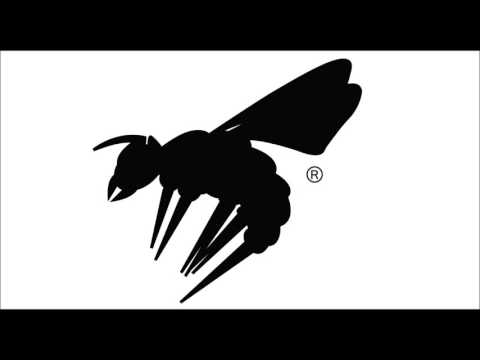 DJ Grinz - Follow the Wasp [Instrumental]