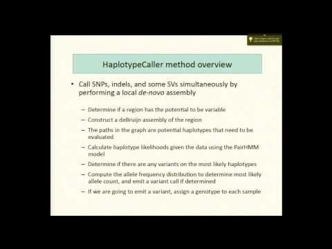 BroadE: Calling variants