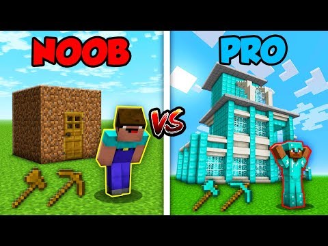 Minecraft NOOB vs. PRO: LIFE in Minecraft! Video