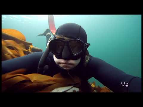 Fosnstraumen januar 2018