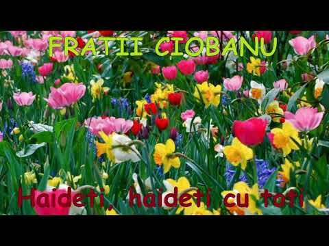 Fratii Ciobanu - Haideti, haideti cu toti
