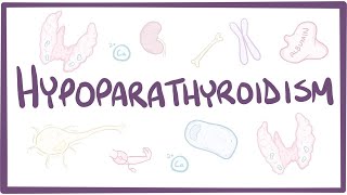 Hypoparathyroidism: causes, symptoms, diagnosis, treatment