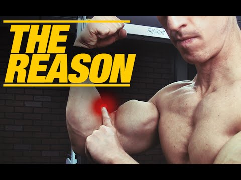 Can not Do Pullups (REAL REASON WHY)